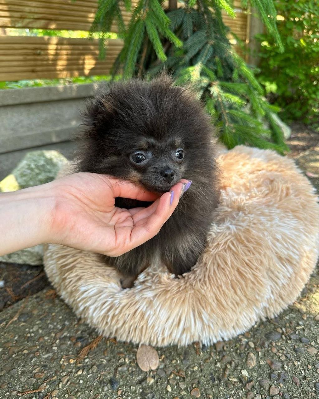 photo_1_2026-03-10_20-21-38