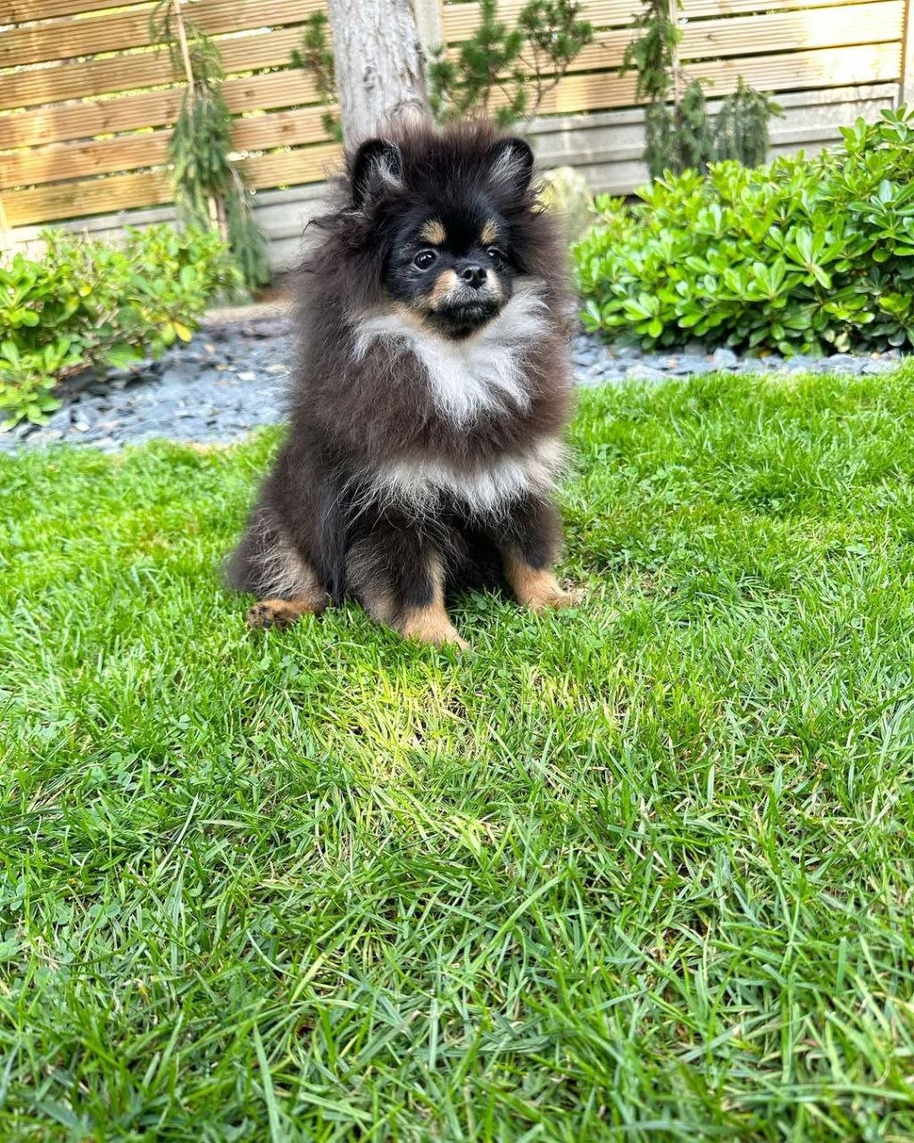 photo_1_2026-03-10_20-30-15