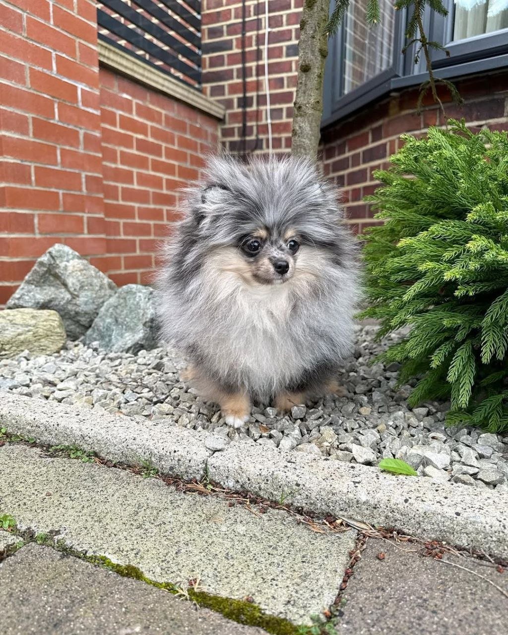 photo_1_2026-03-10_20-31-48