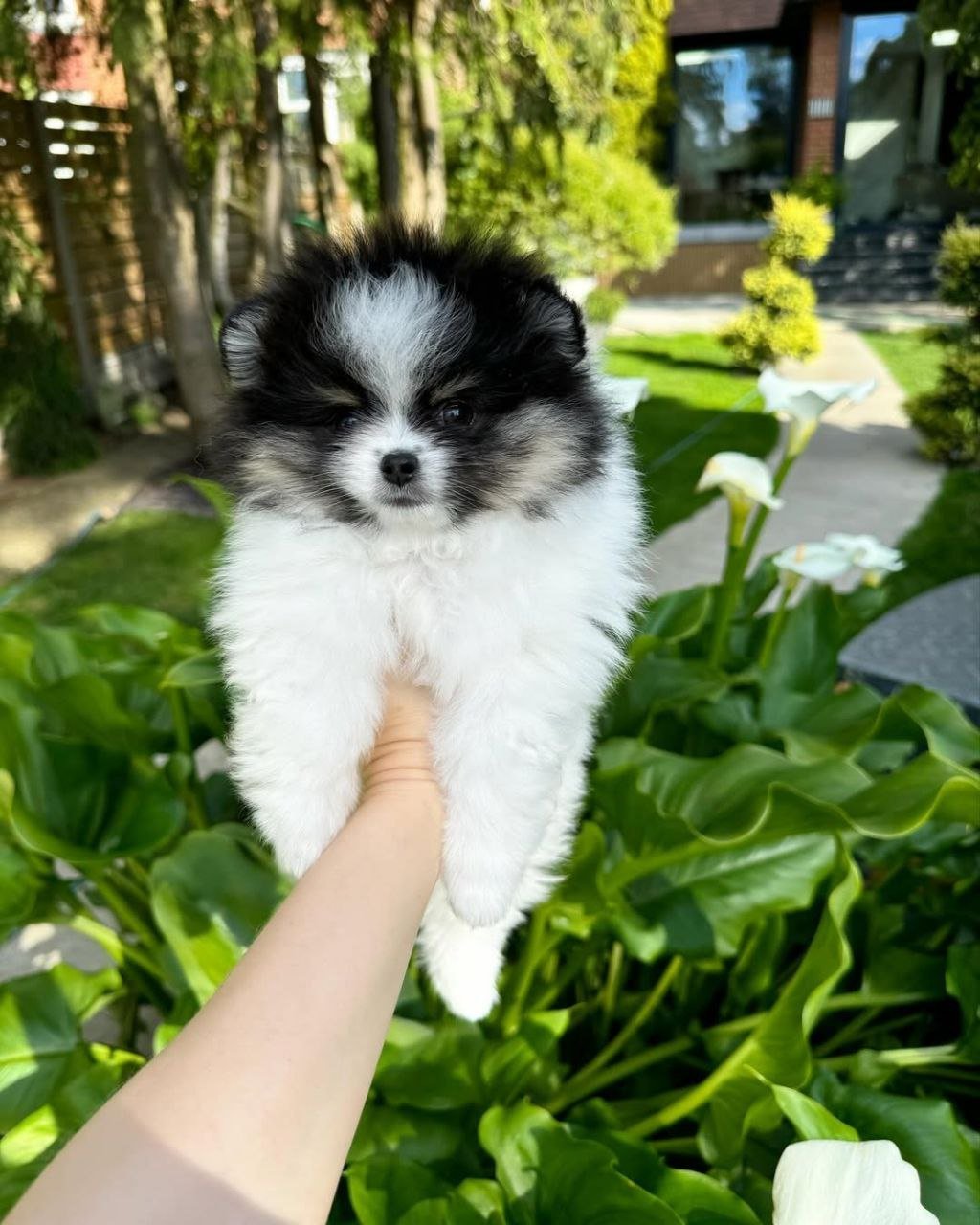 photo_1_2026-03-10_20-35-02