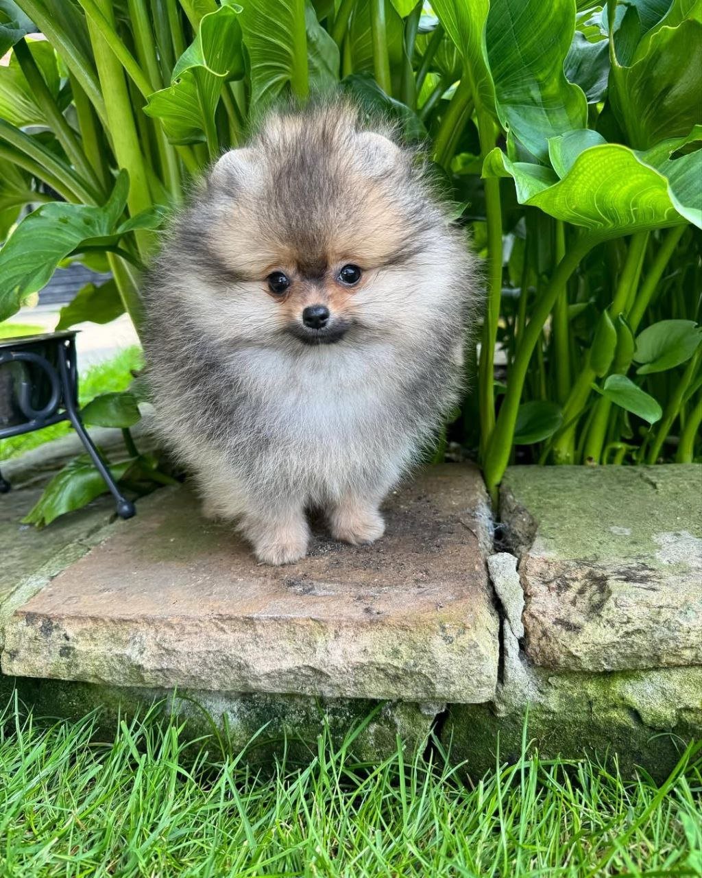 photo_1_2026-03-10_20-36-21