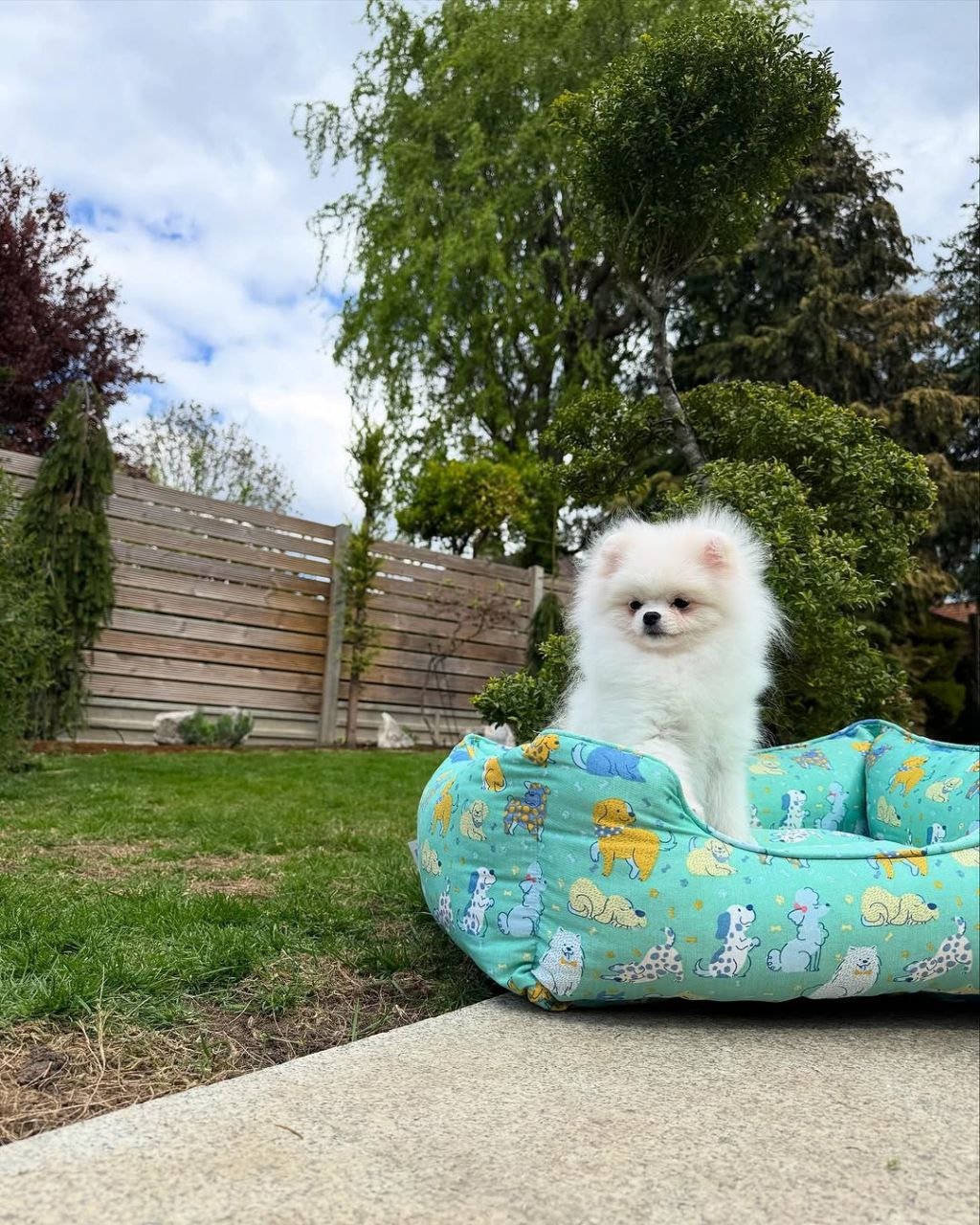 photo_1_2026-03-10_20-42-49