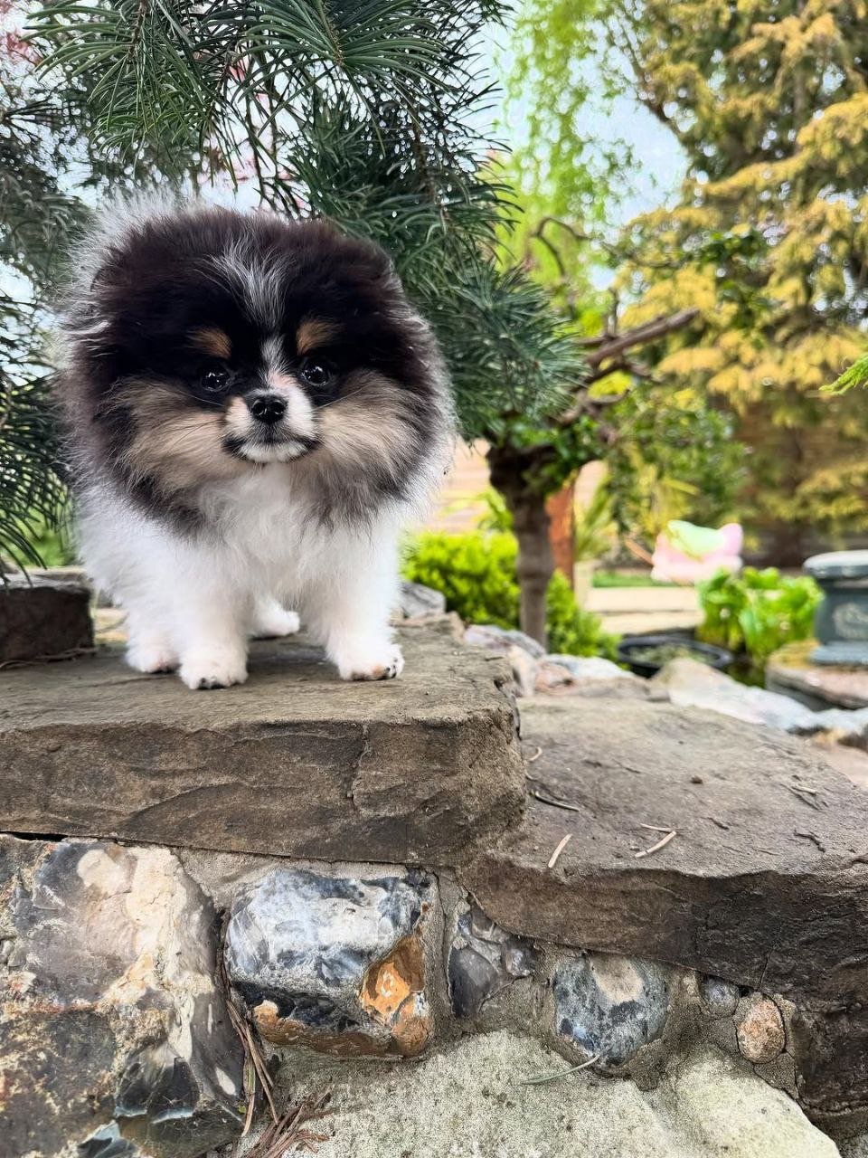 photo_1_2026-03-10_20-43-41