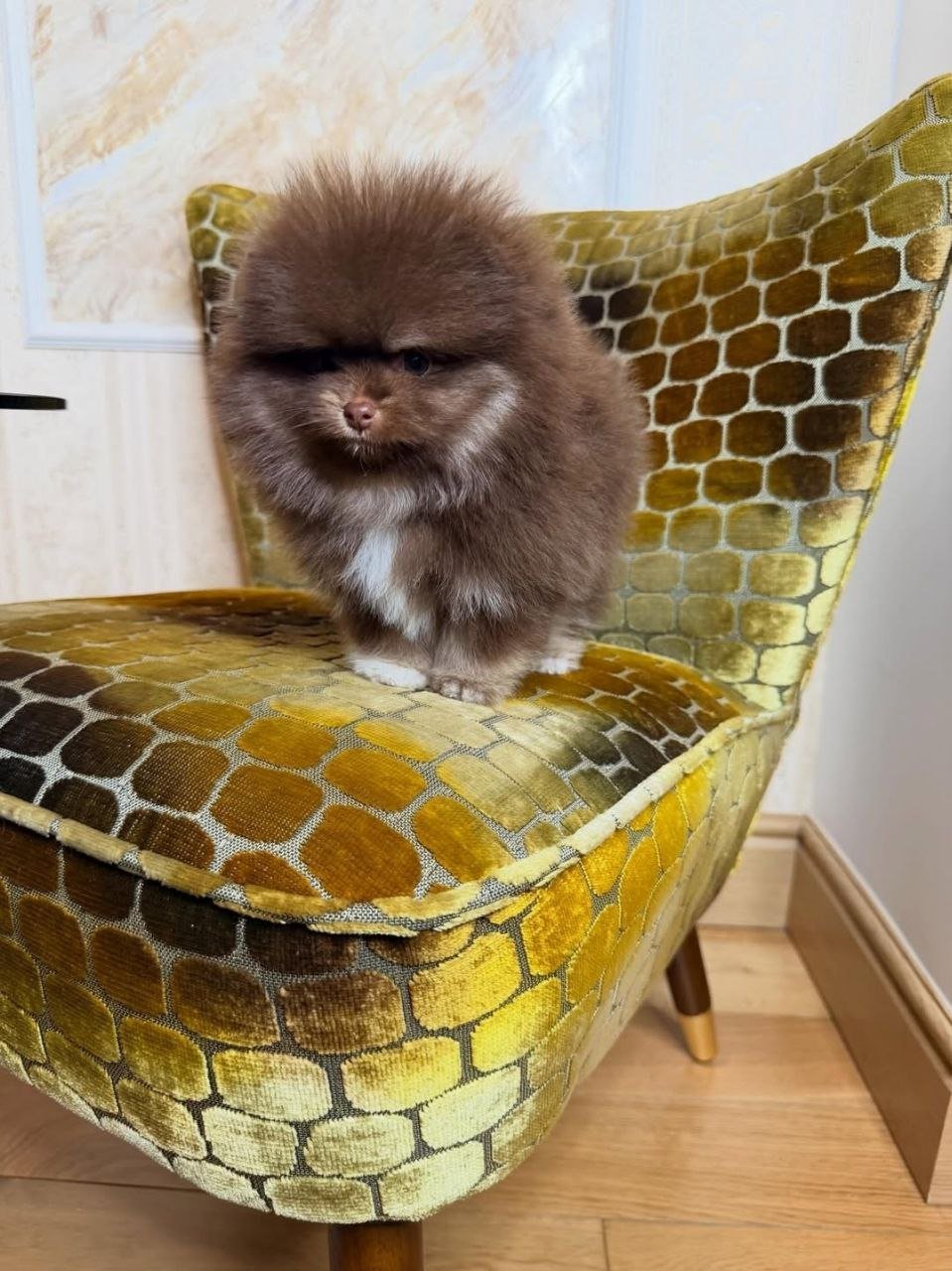 photo_1_2026-03-10_20-45-51