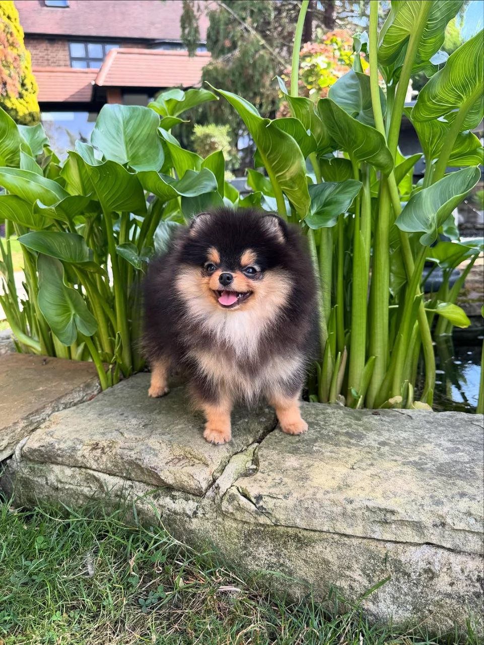 photo_1_2026-03-10_20-47-14