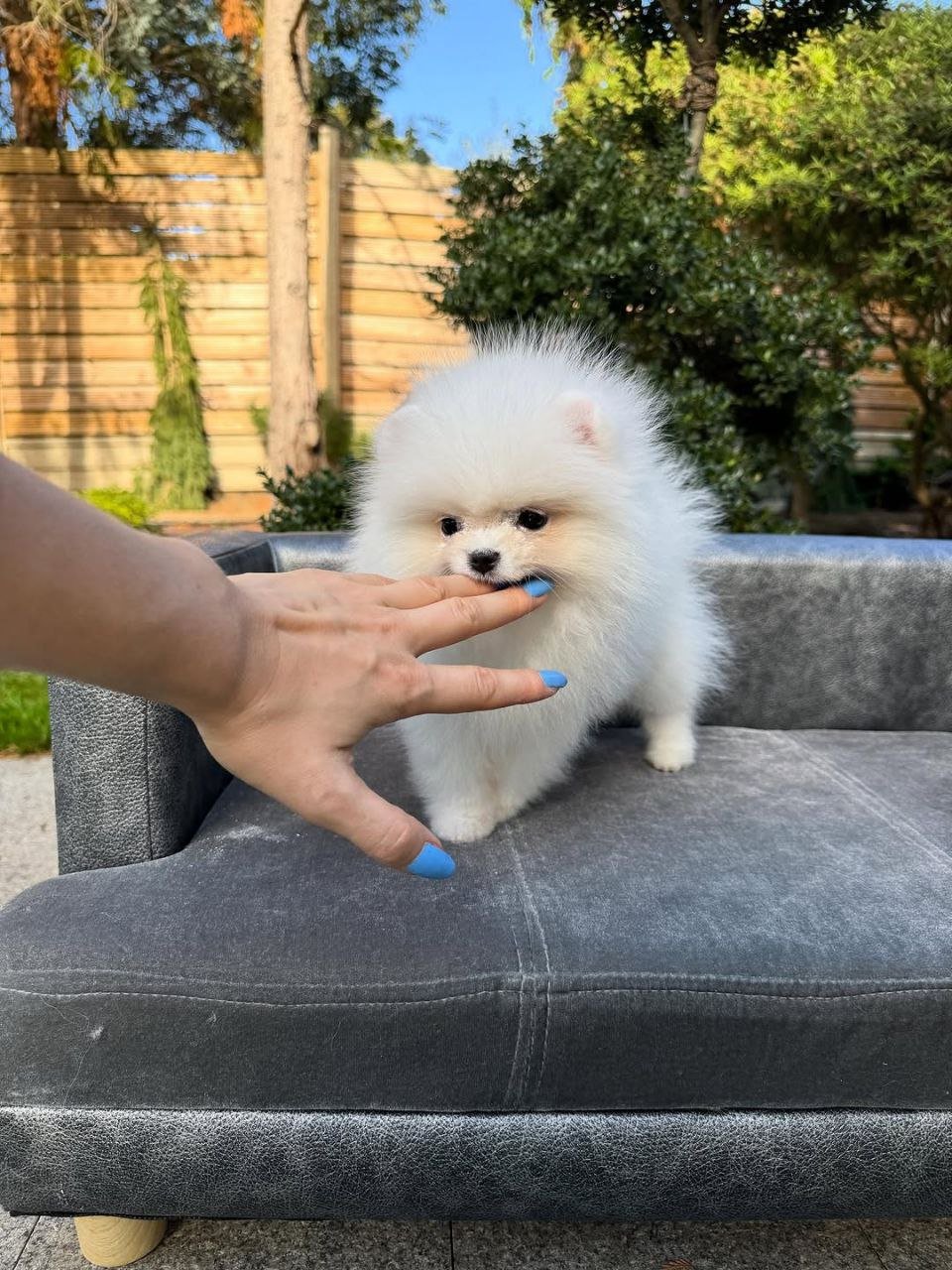 photo_1_2026-03-10_20-49-13