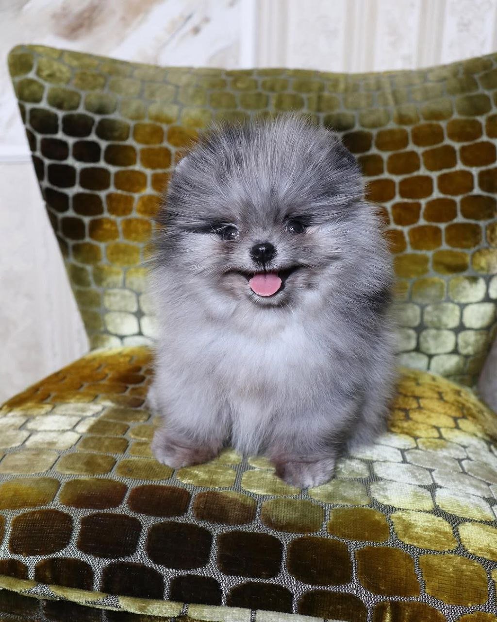 photo_1_2026-03-11_21-53-57