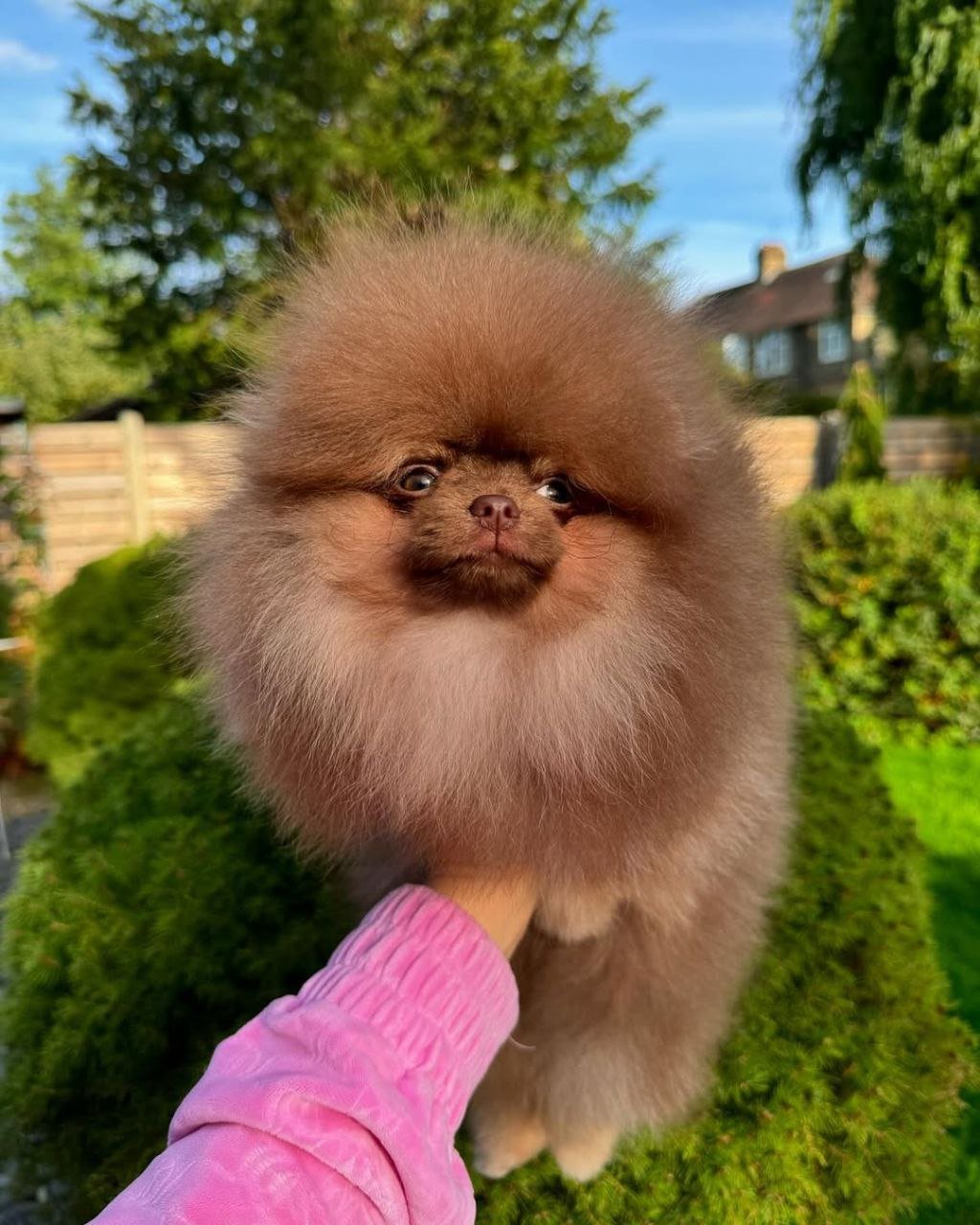 photo_1_2026-03-11_21-55-48