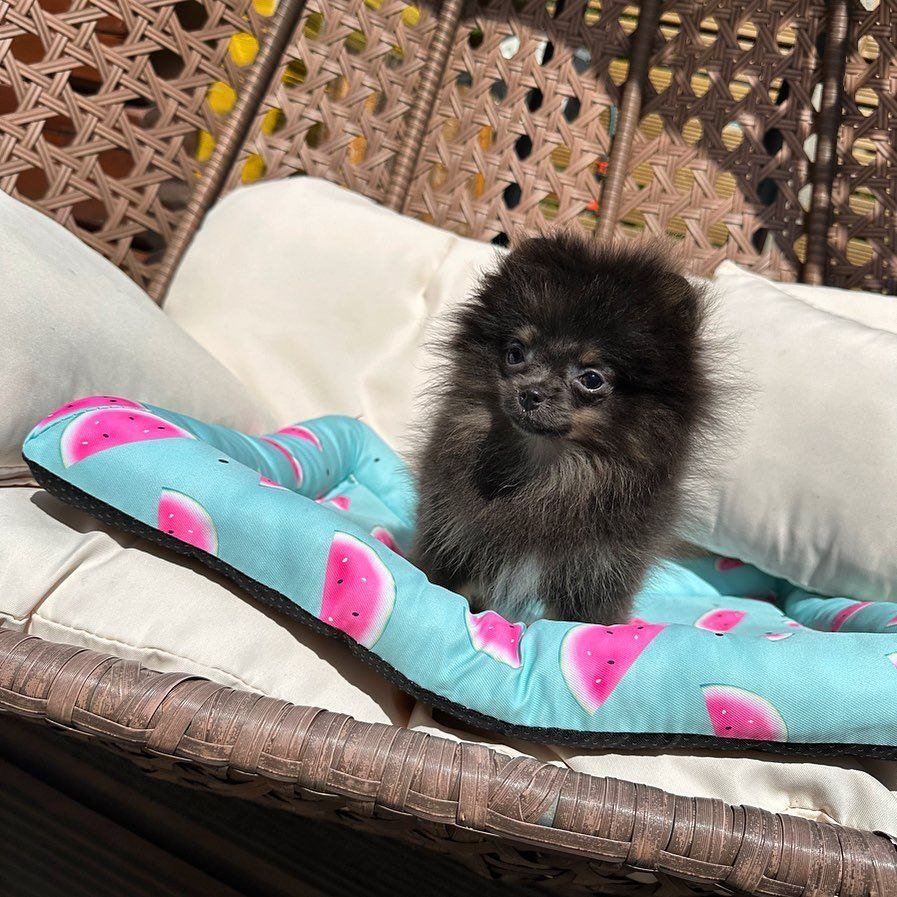 photo_2_2026-03-10_20-21-38