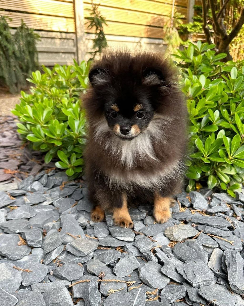 photo_2_2026-03-10_20-30-15