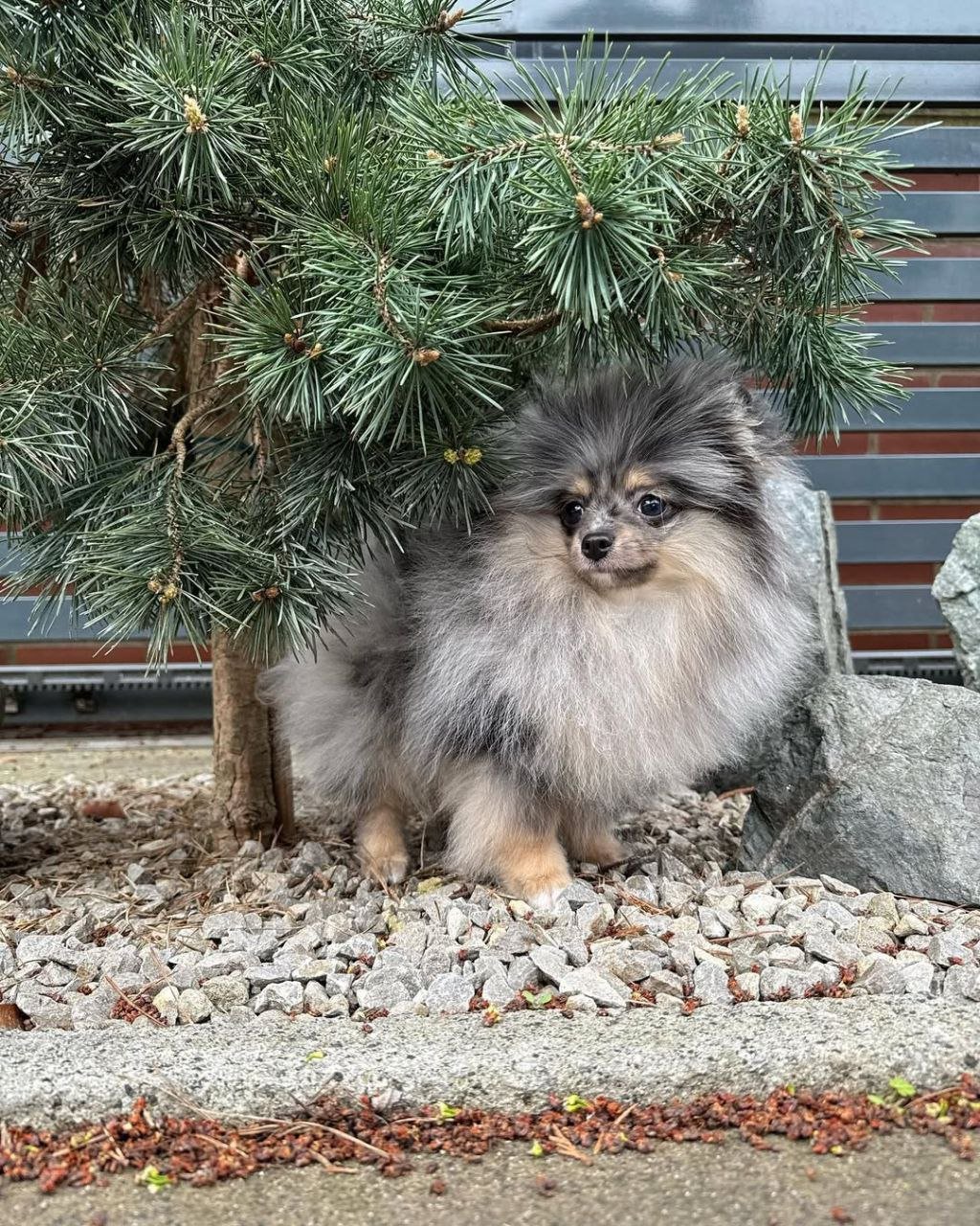 photo_2_2026-03-10_20-31-48