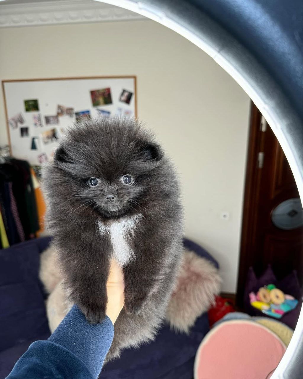 photo_2_2026-03-10_20-33-57