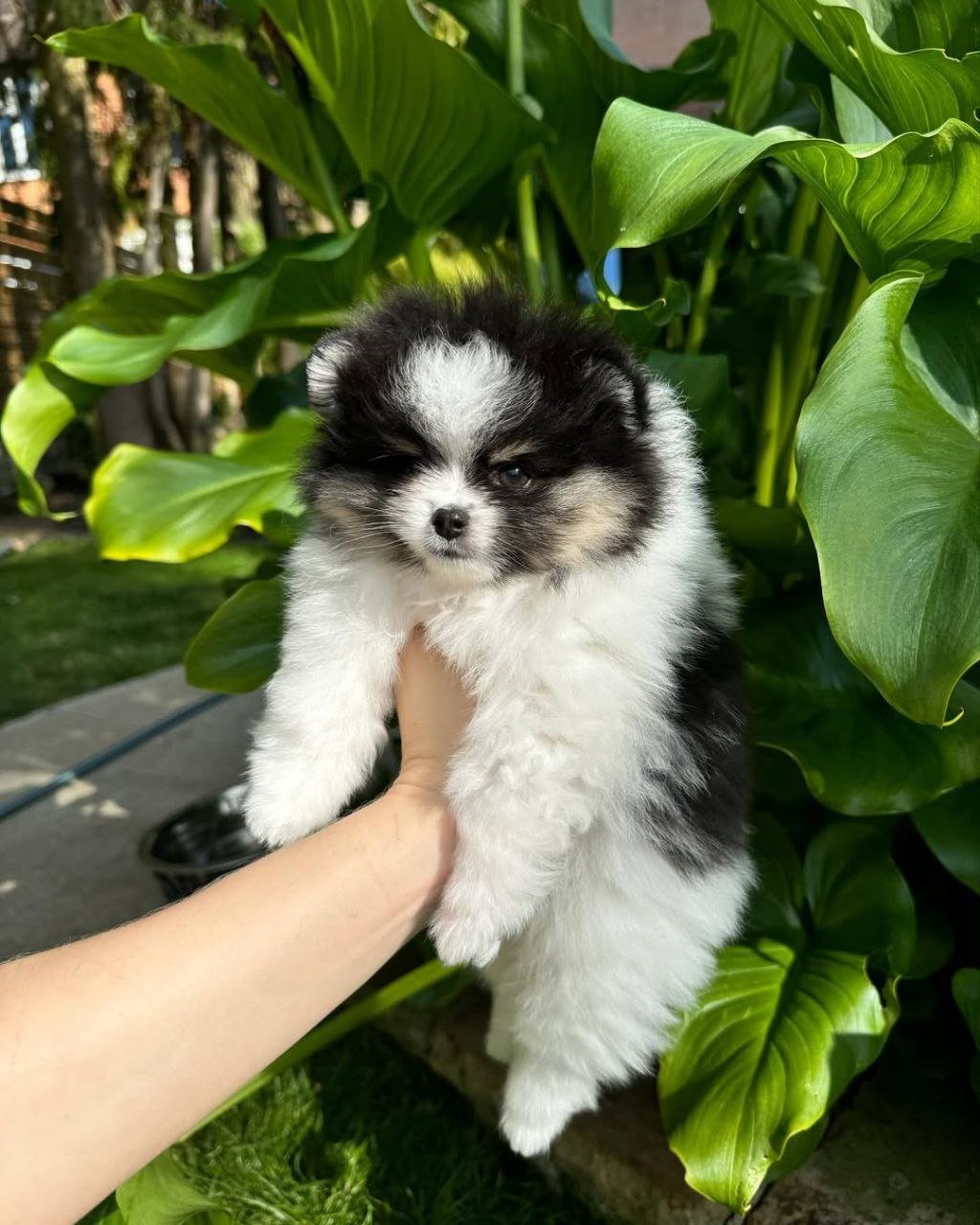 photo_2_2026-03-10_20-35-02