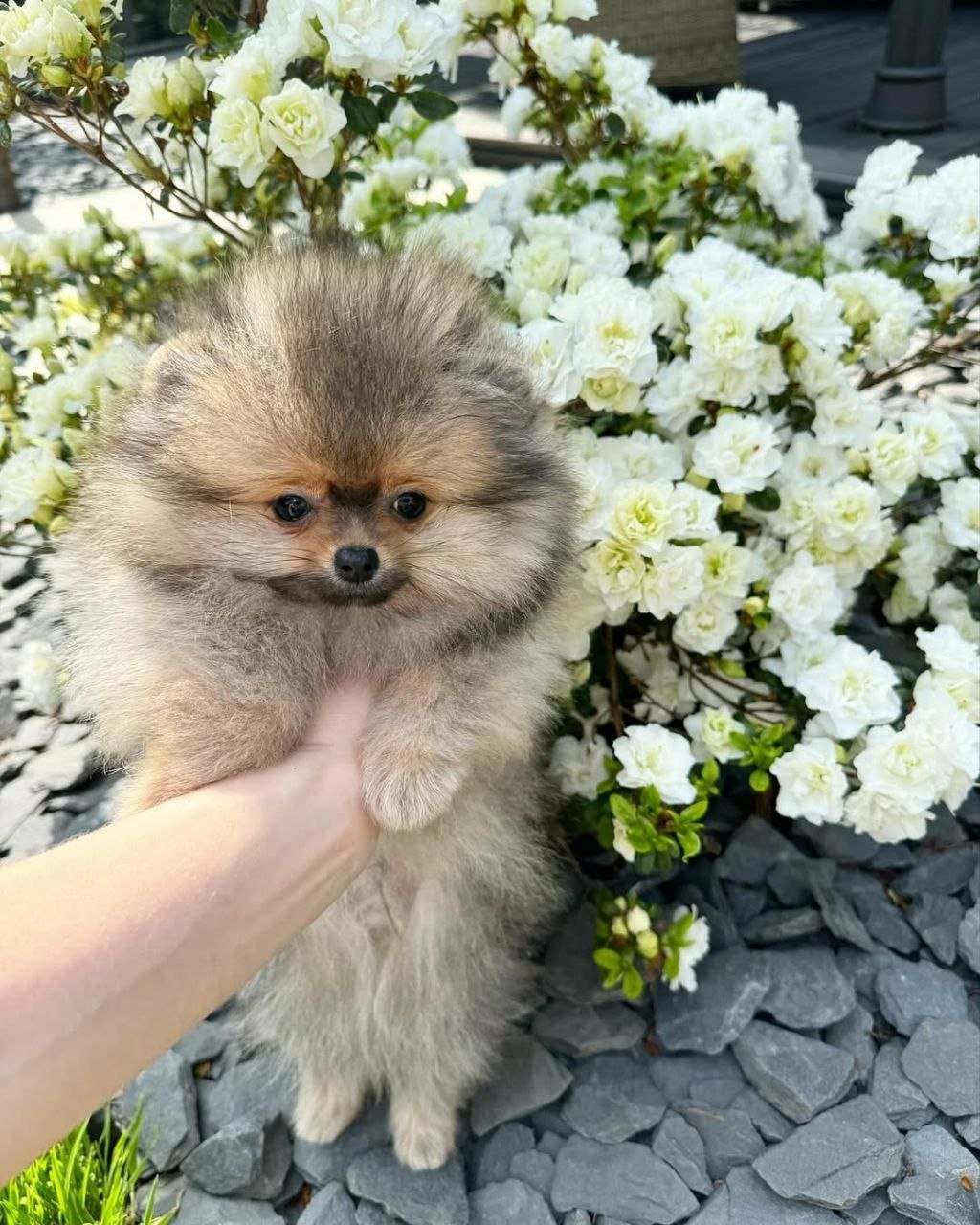 photo_2_2026-03-10_20-36-21