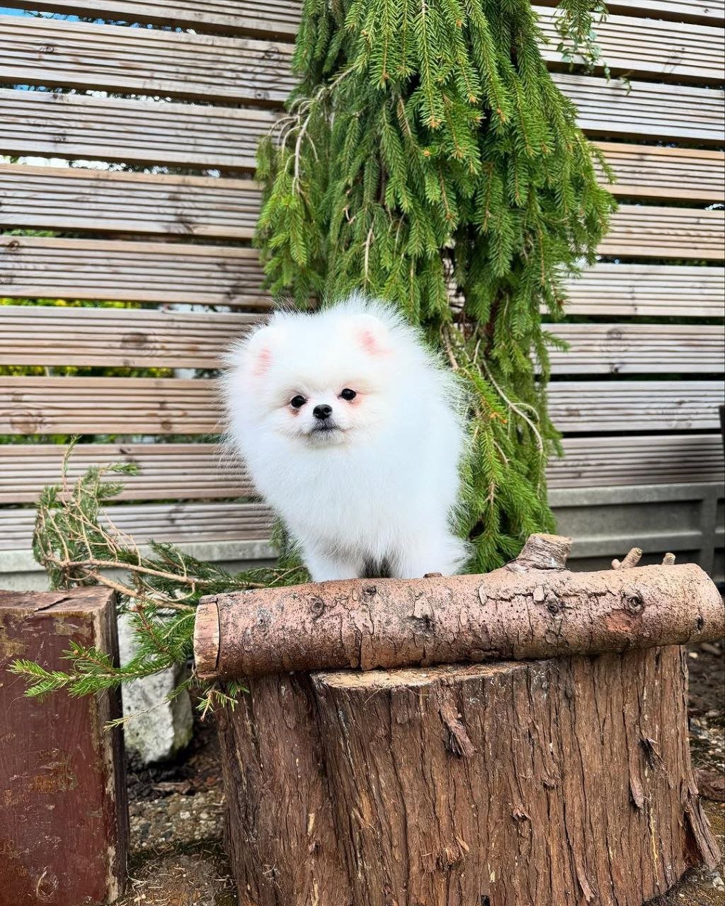 photo_2_2026-03-10_20-42-49