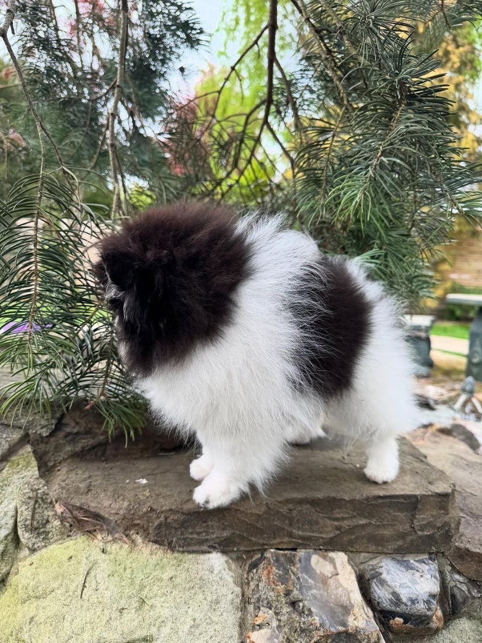 photo_2_2026-03-10_20-43-41