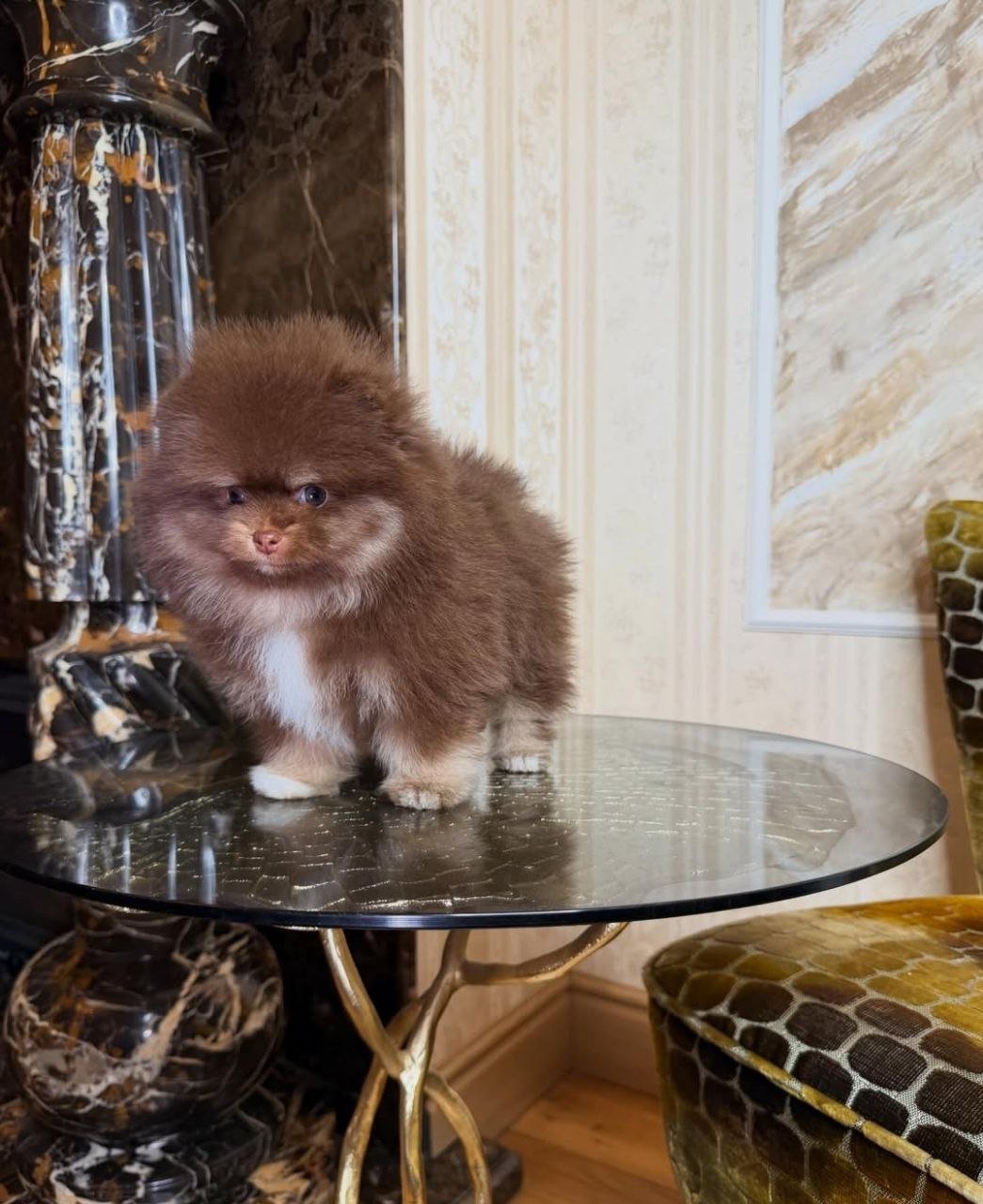 photo_2_2026-03-10_20-45-51