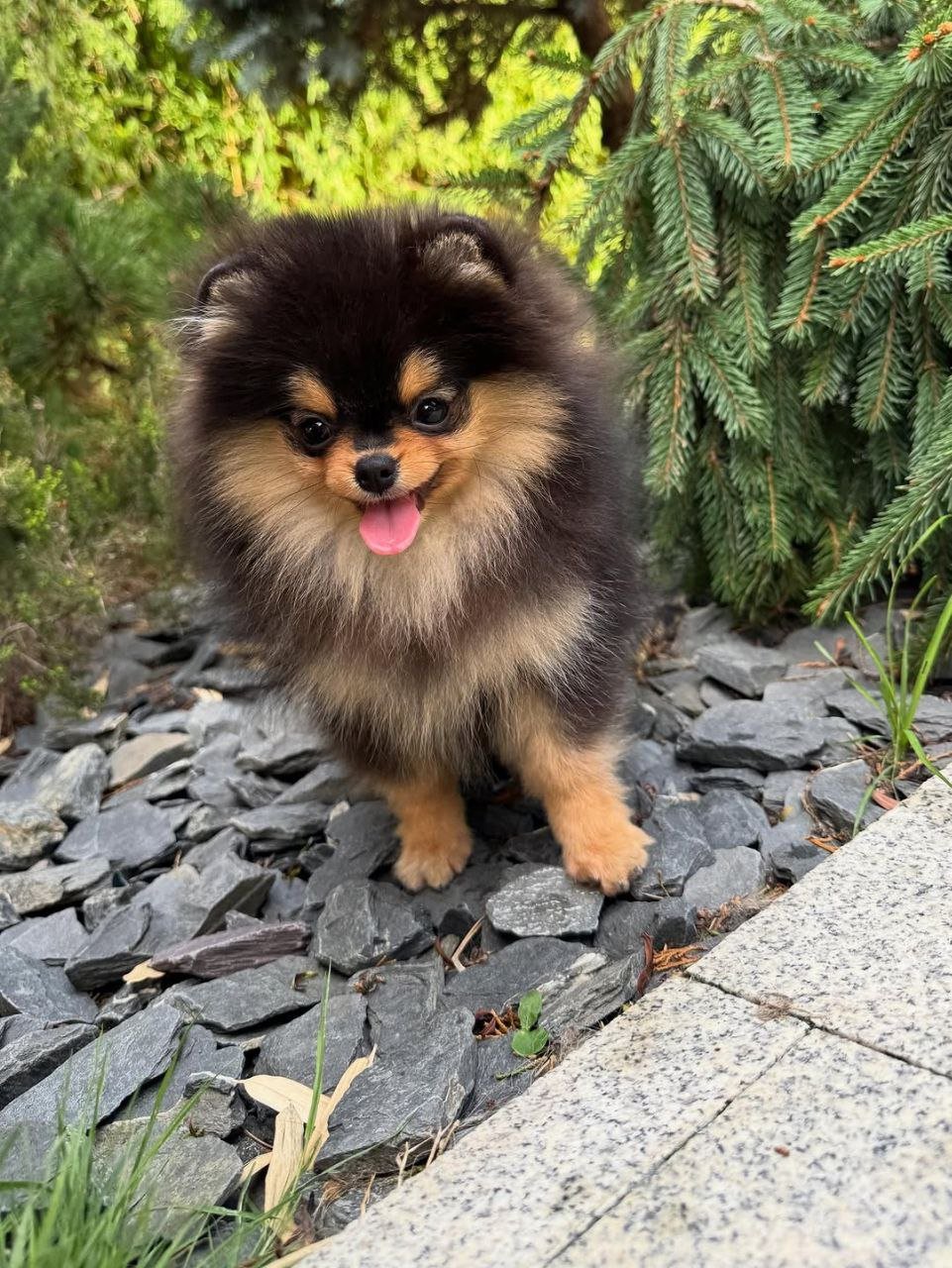 photo_2_2026-03-10_20-47-14