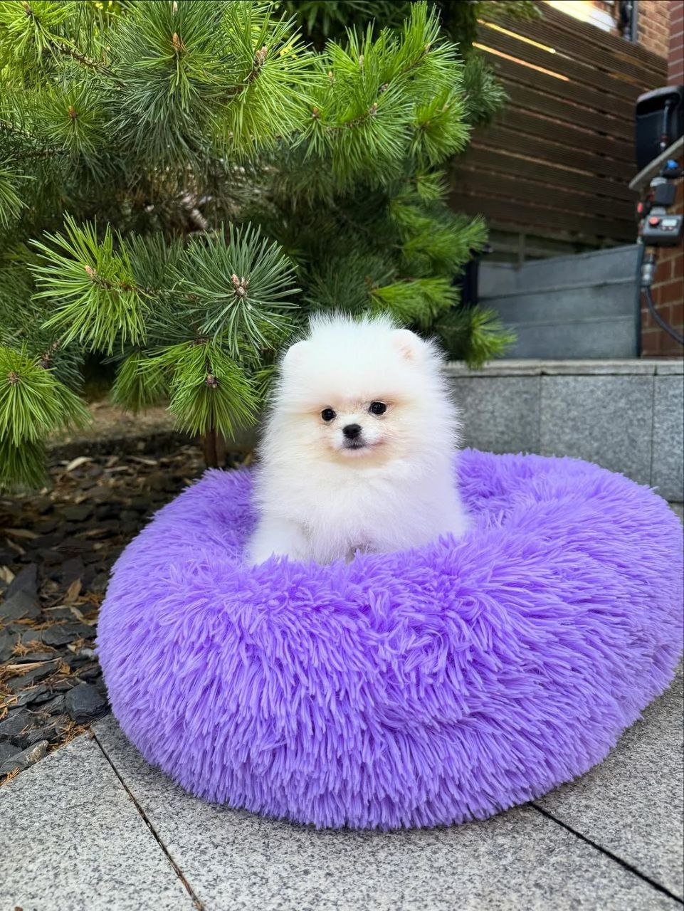 photo_2_2026-03-10_20-49-13