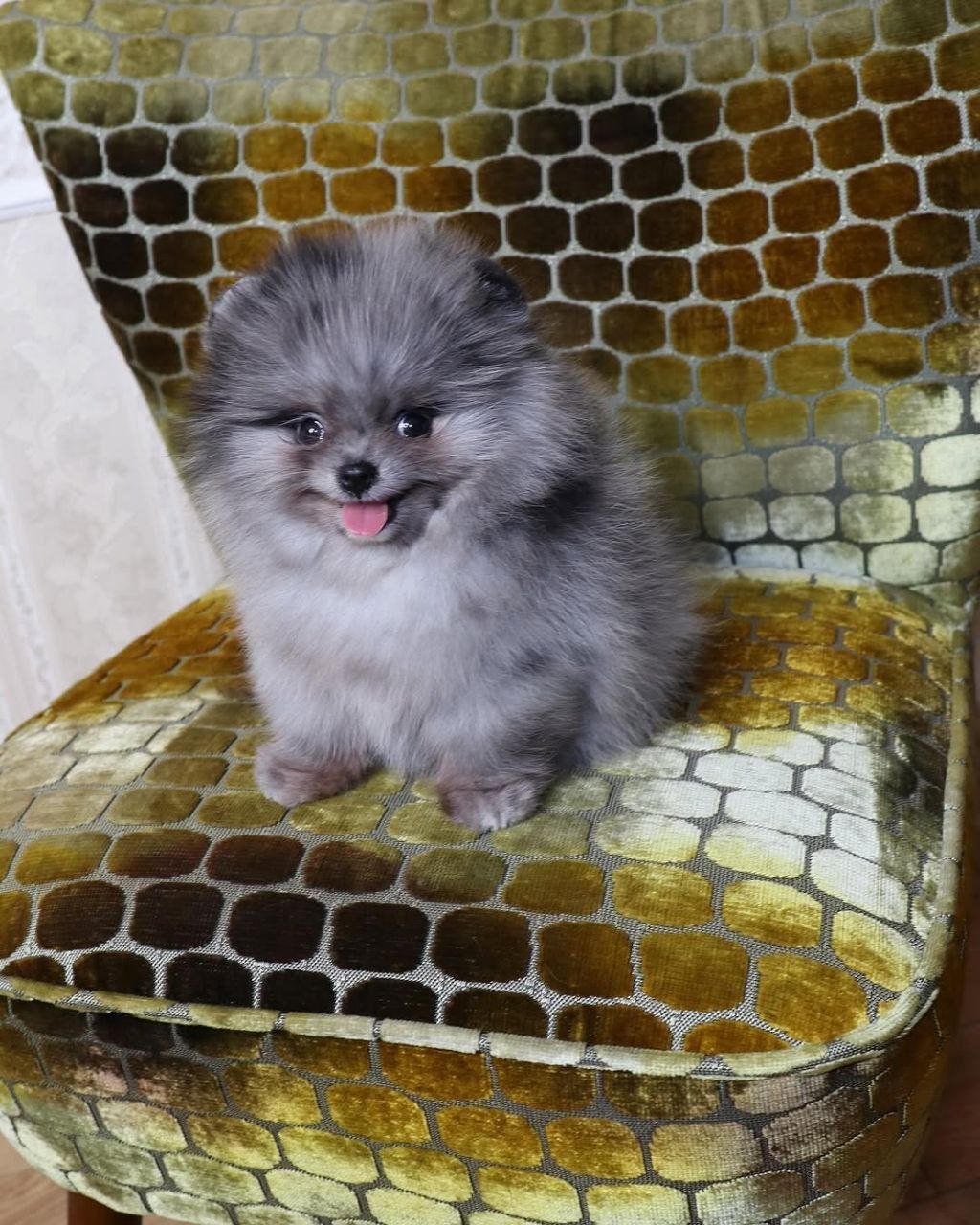 photo_2_2026-03-11_21-53-57