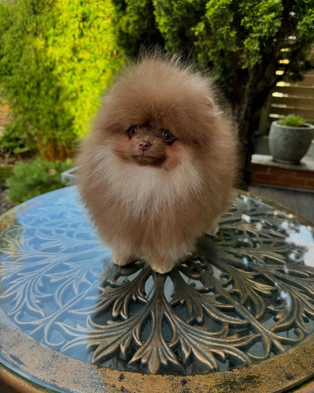 photo_2_2026-03-11_21-55-48