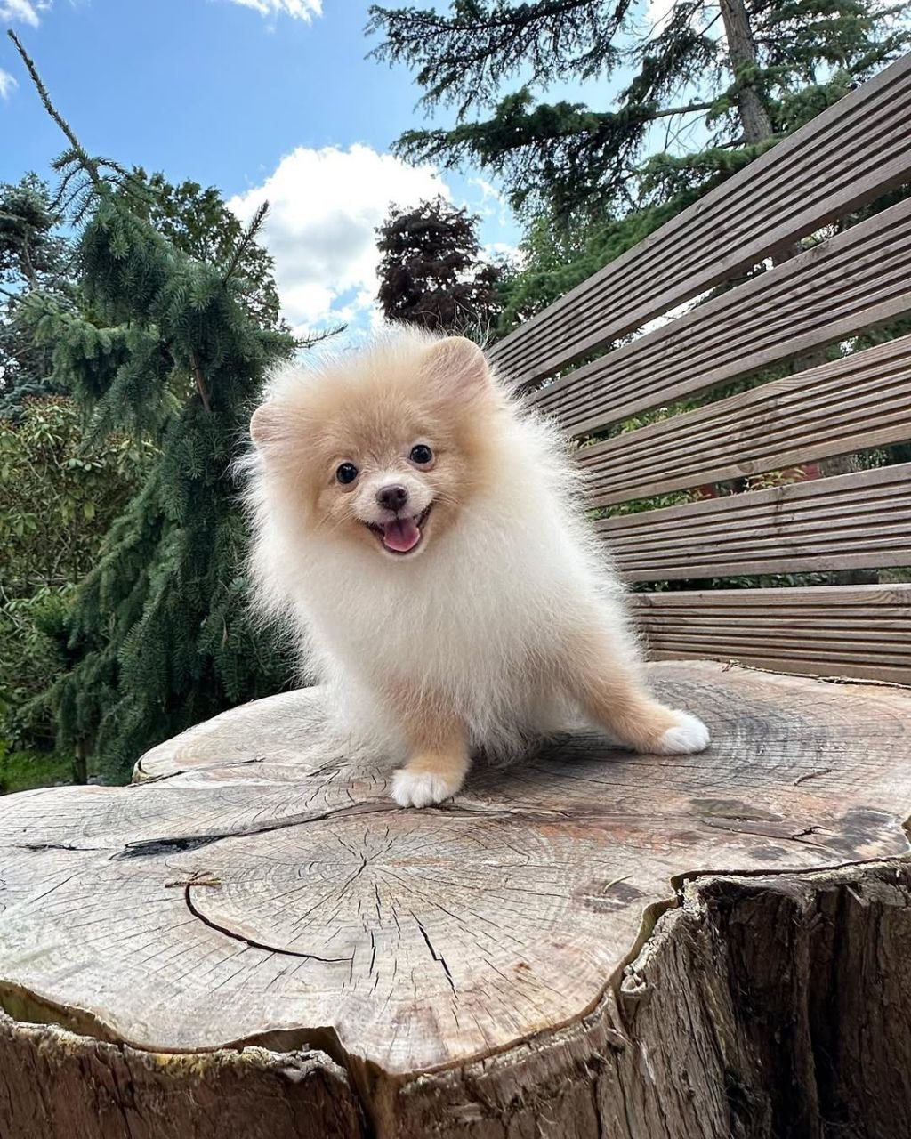 photo_3_2026-03-10_20-29-15