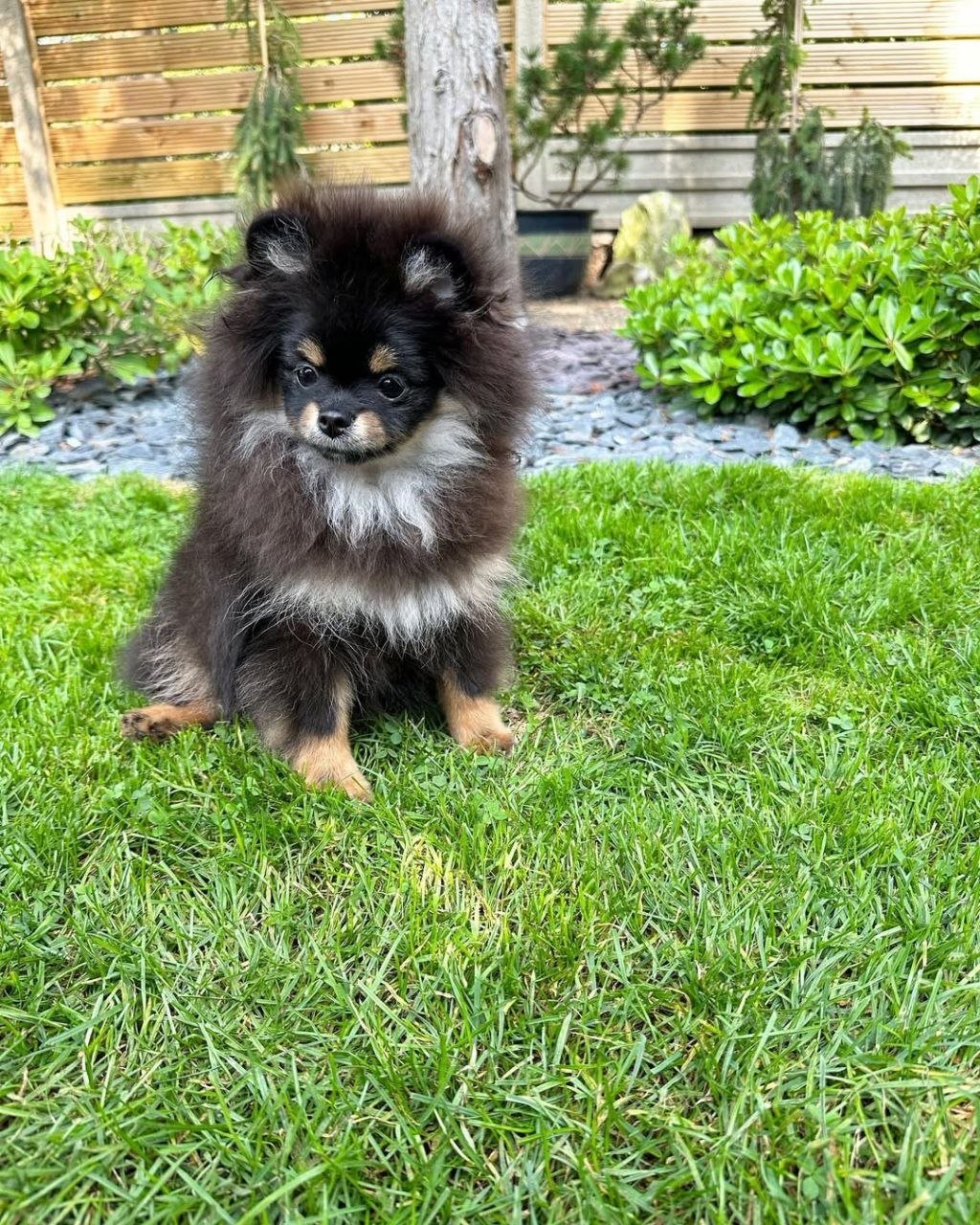 photo_3_2026-03-10_20-30-15