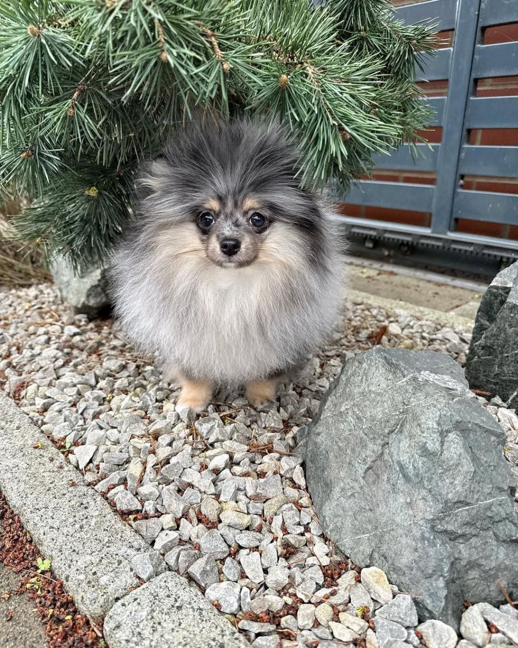 photo_3_2026-03-10_20-31-48