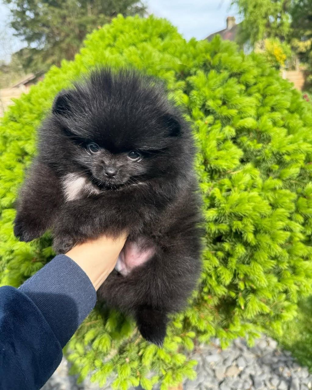 photo_3_2026-03-10_20-33-57