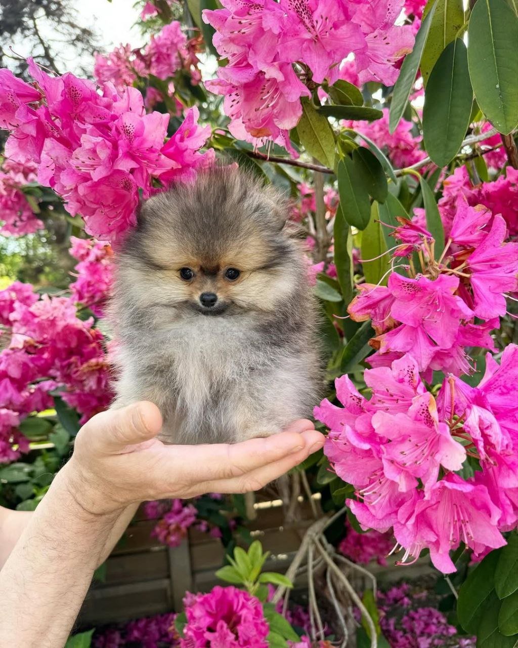 photo_3_2026-03-10_20-36-21