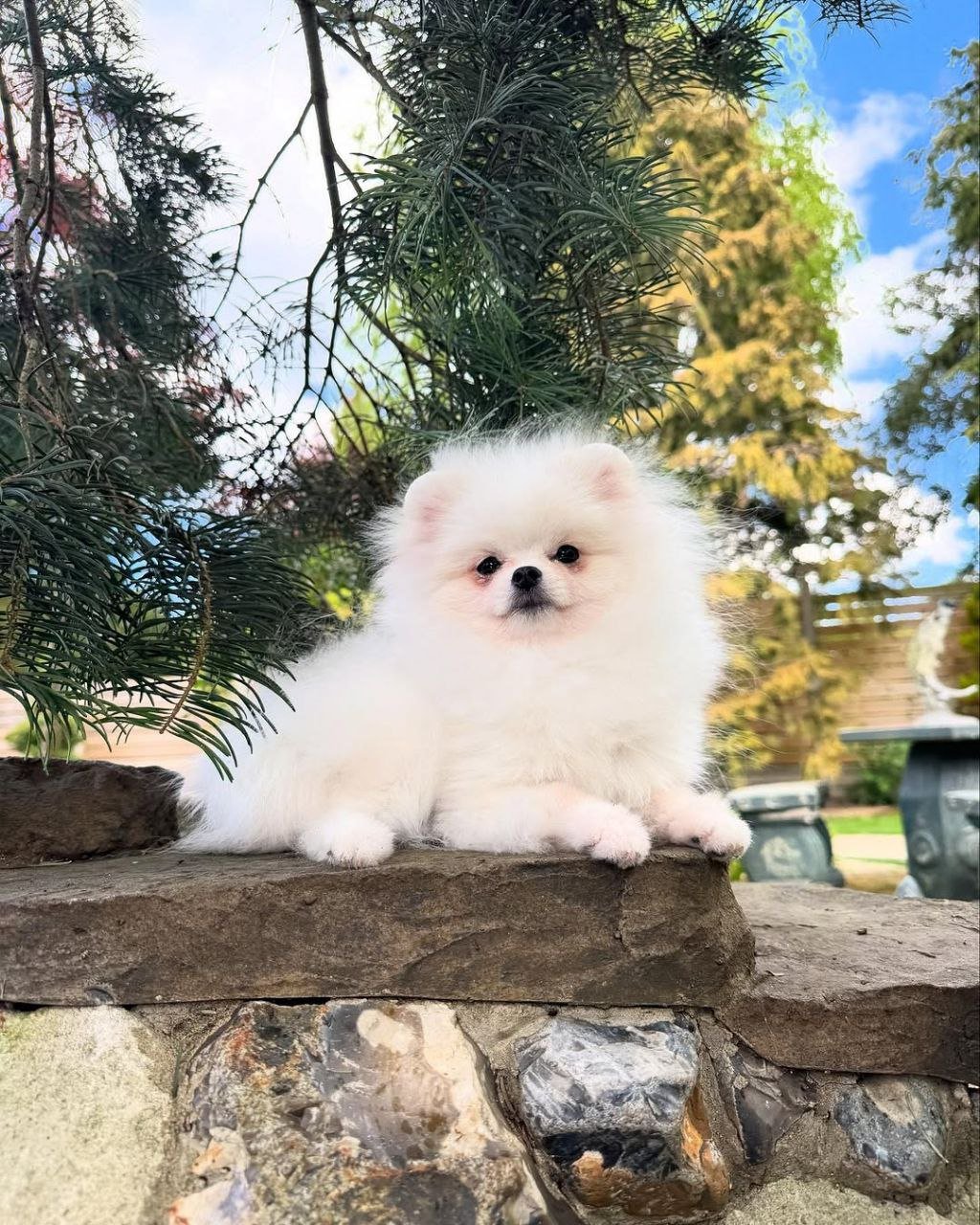 photo_3_2026-03-10_20-42-49