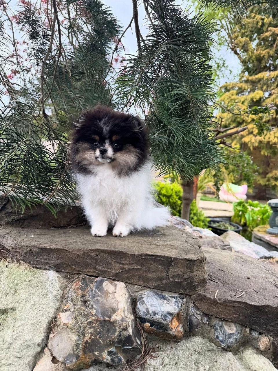 photo_3_2026-03-10_20-43-41