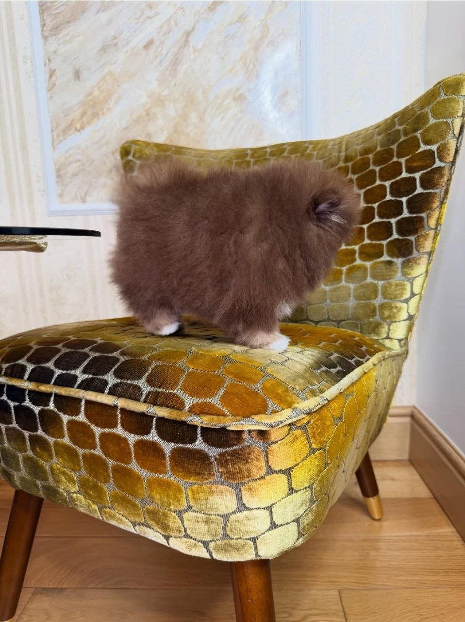 photo_3_2026-03-10_20-45-51