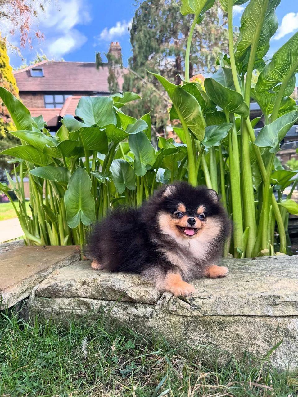 photo_3_2026-03-10_20-47-14