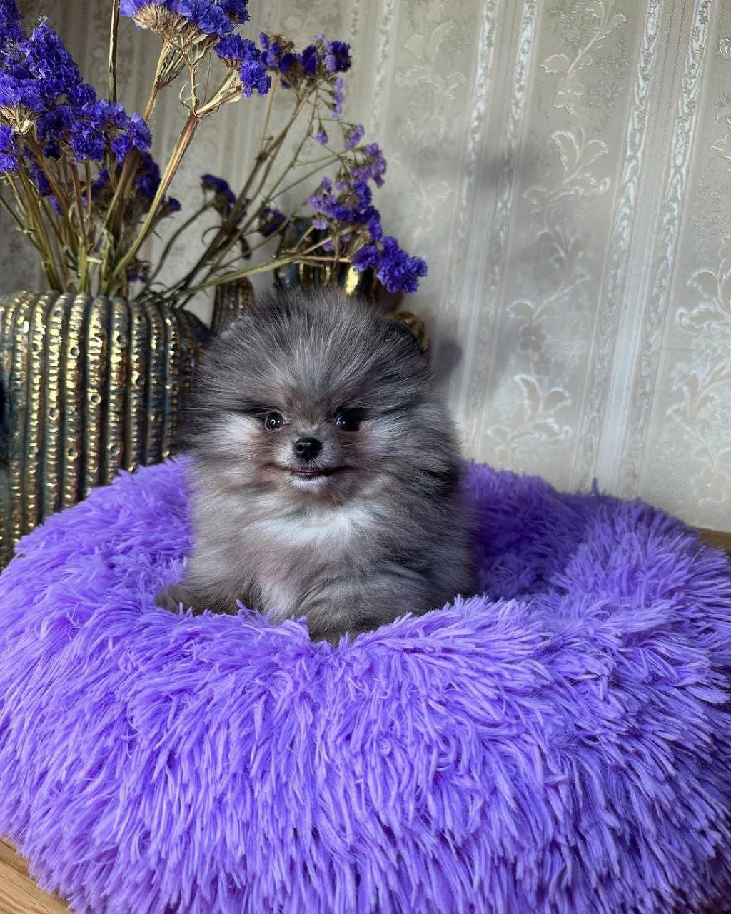 photo_3_2026-03-11_21-53-57