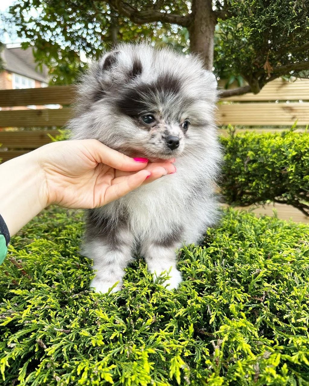 photo_2026-04-10_02-20-09