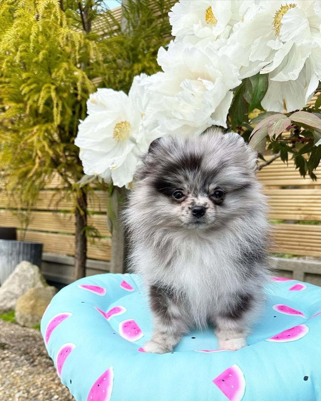 photo_2026-04-10_02-20-12