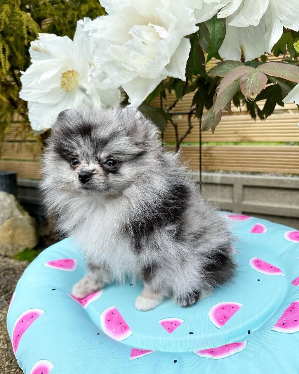 photo_2026-04-10_02-20-16