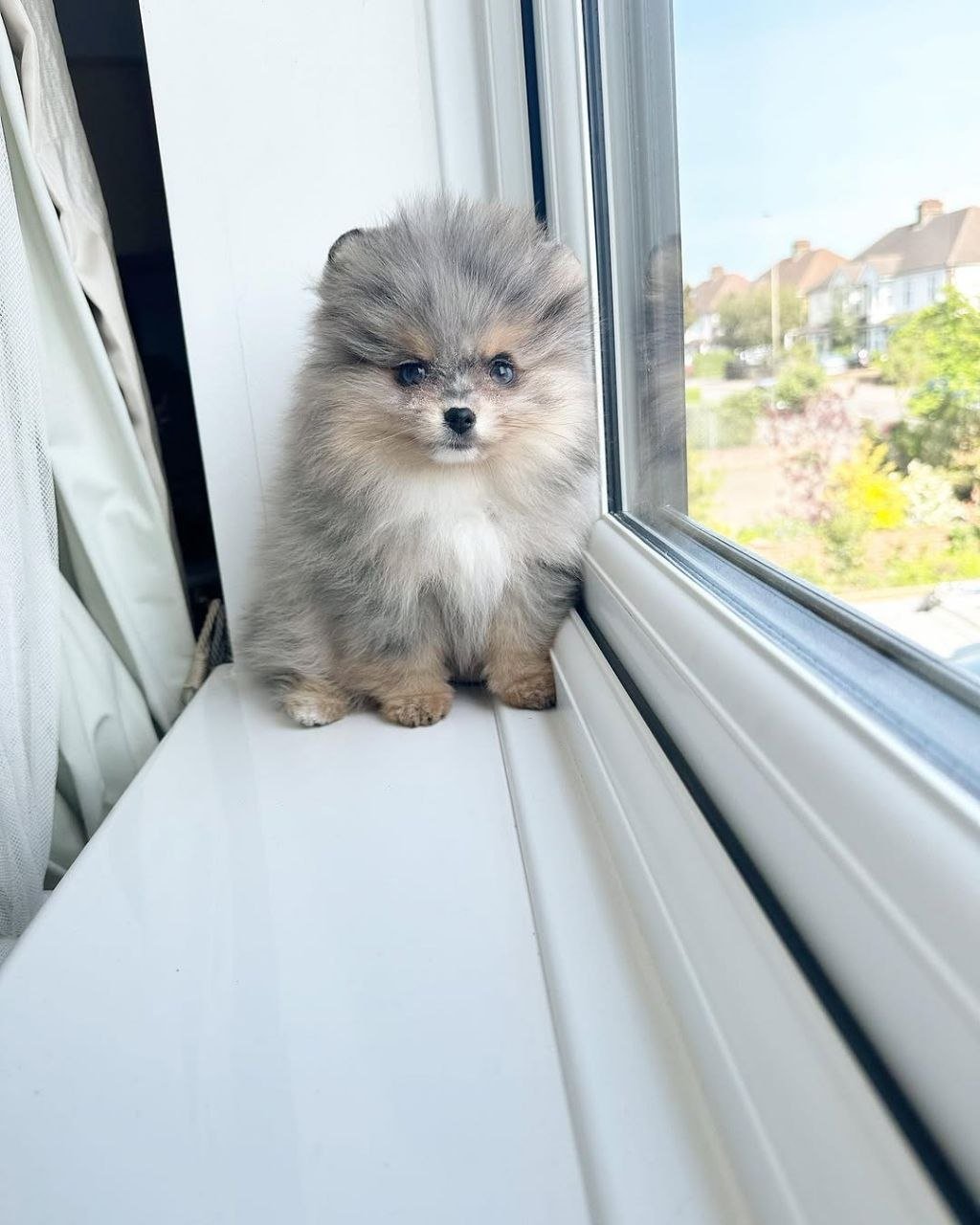 photo_2026-04-10_02-25-43