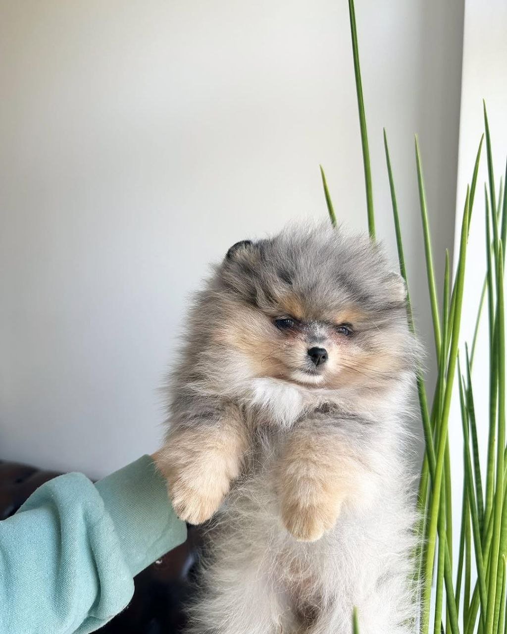 photo_2026-04-10_02-25-47