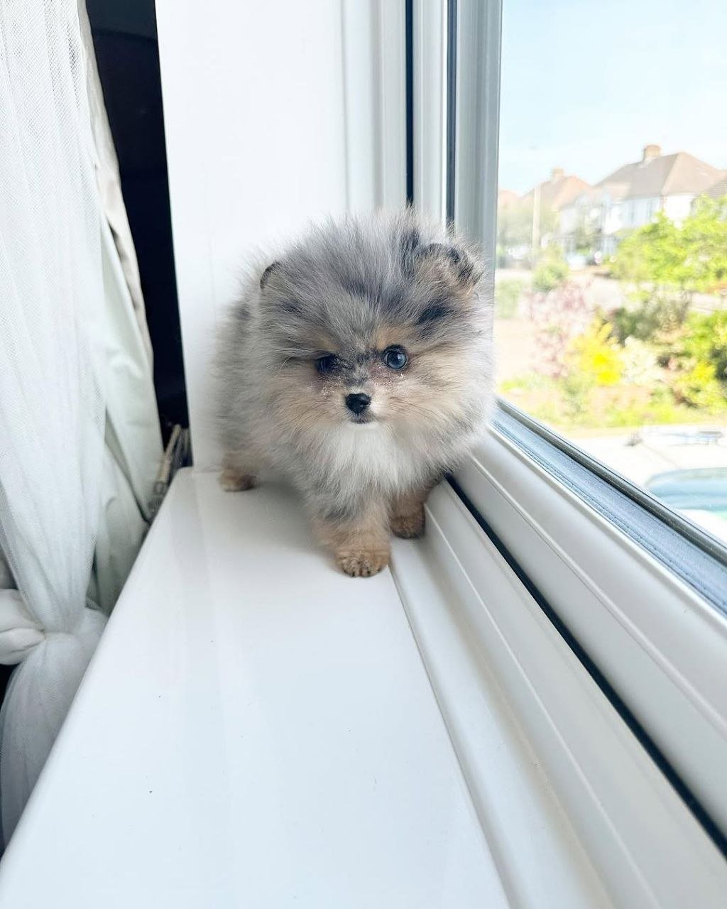 photo_2026-04-10_02-25-50