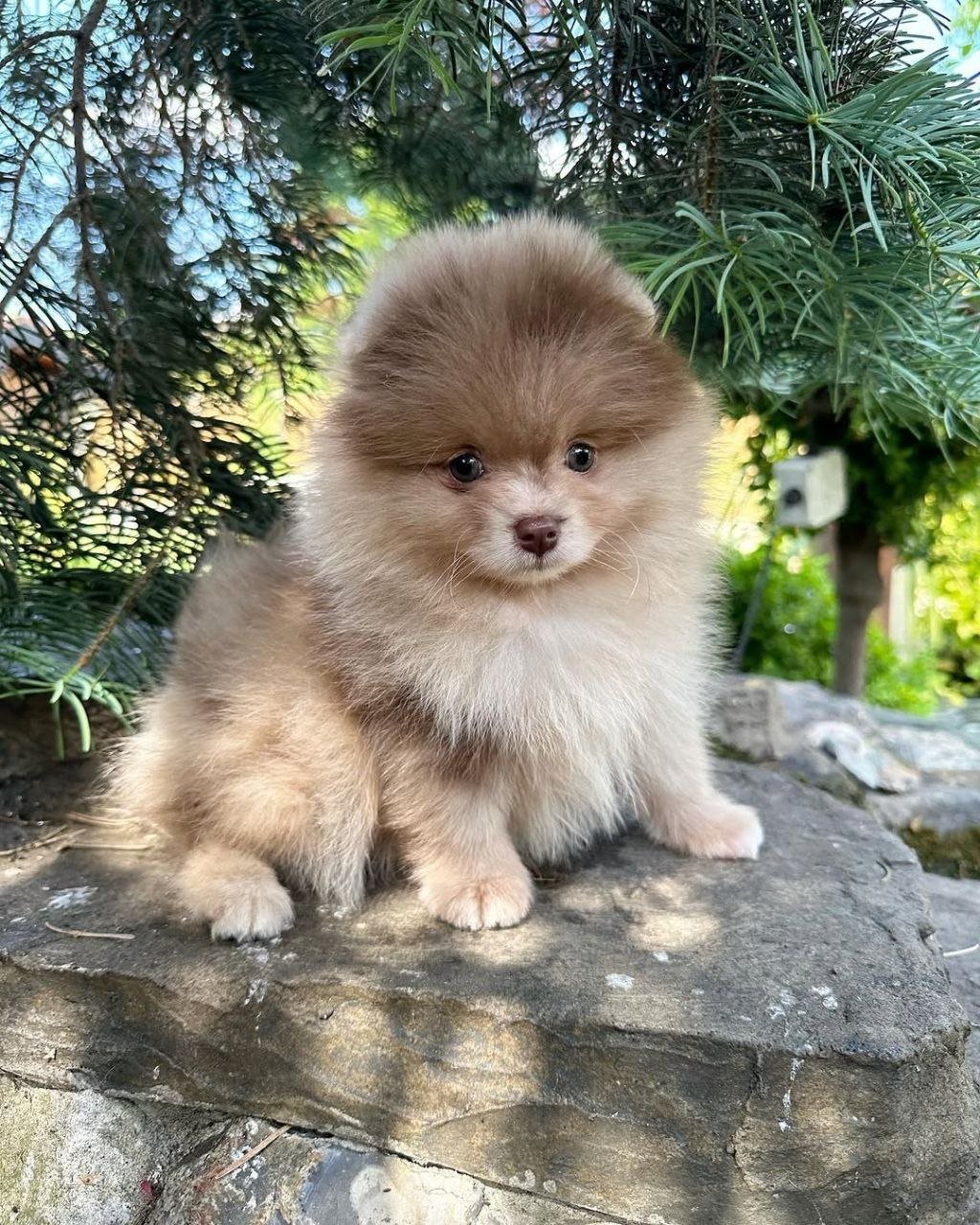 photo_2026-04-10_02-37-55