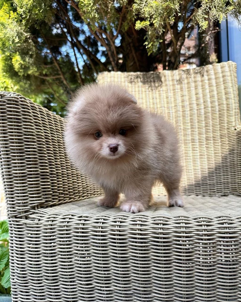 photo_2026-04-10_02-37-59